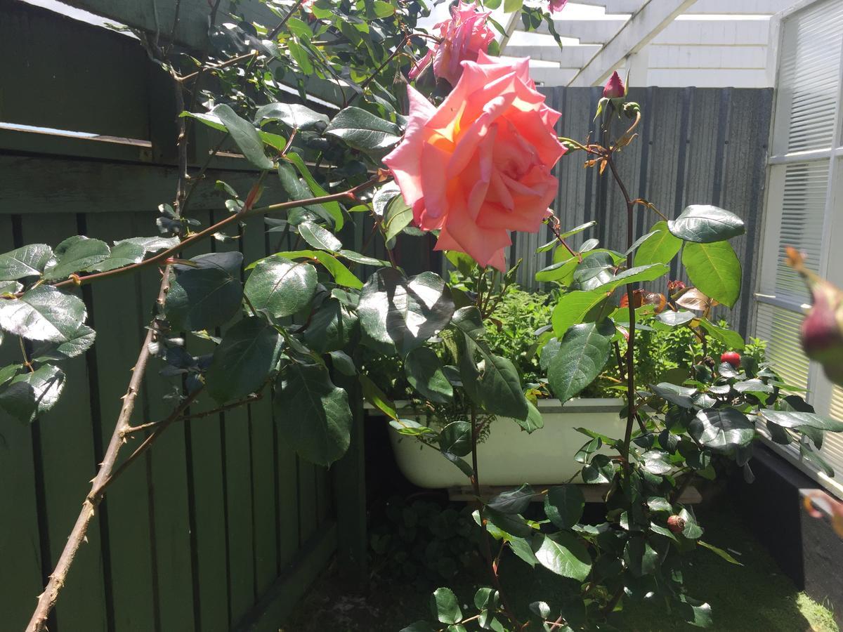 Cambridge Cottage - Self Catering Holiday House Bagian luar foto