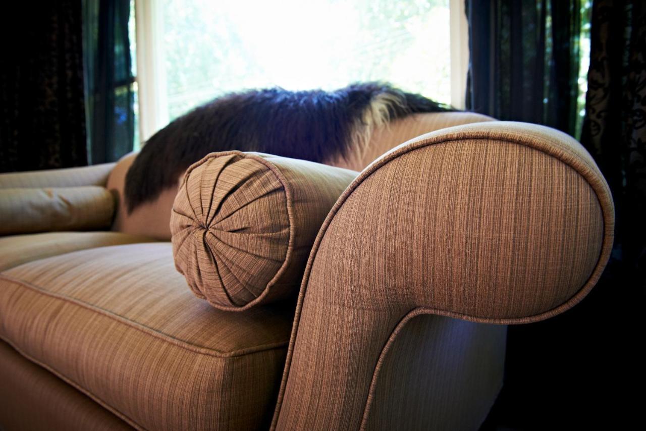 Cambridge Cottage - Self Catering Holiday House Bagian luar foto